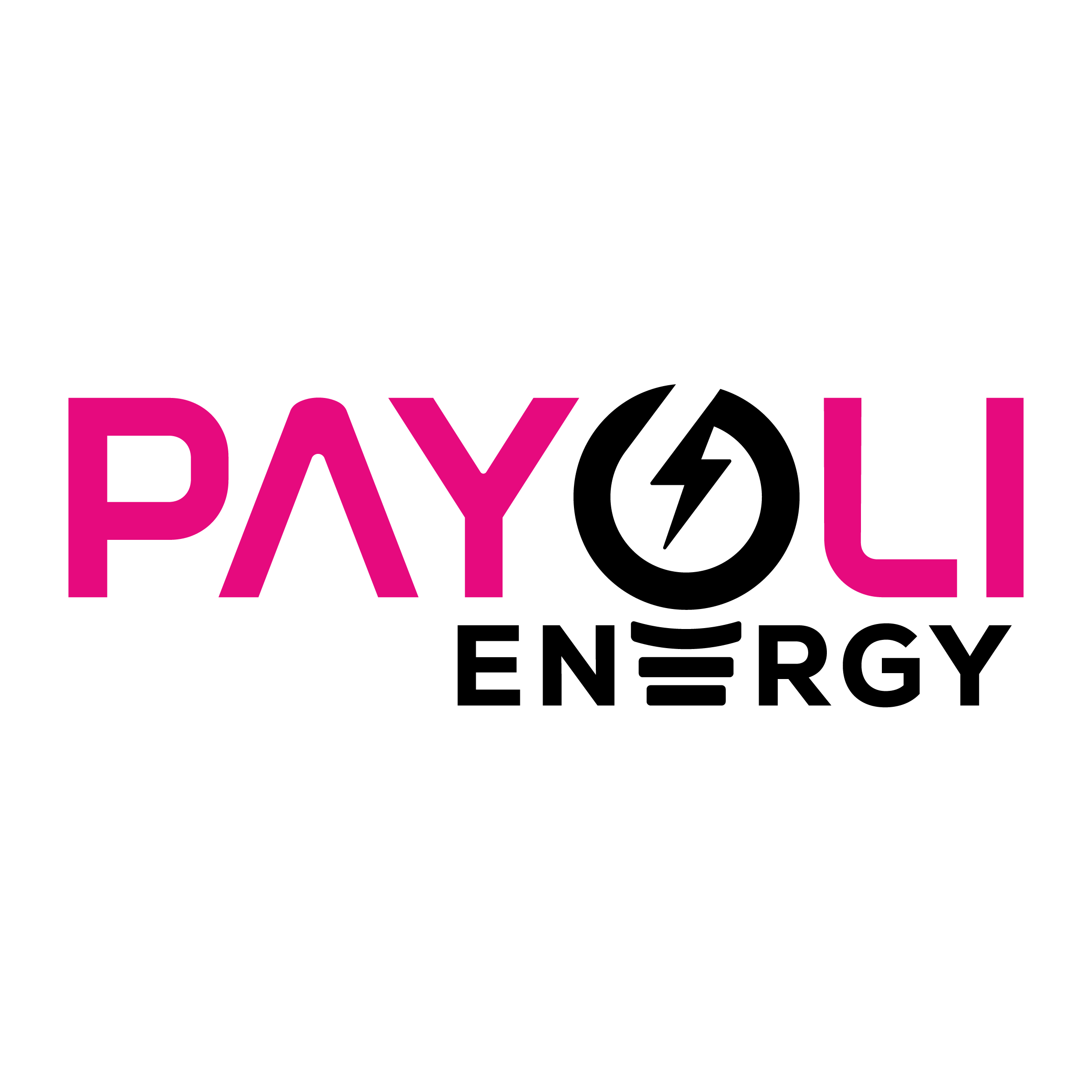 PayOli Energy logo