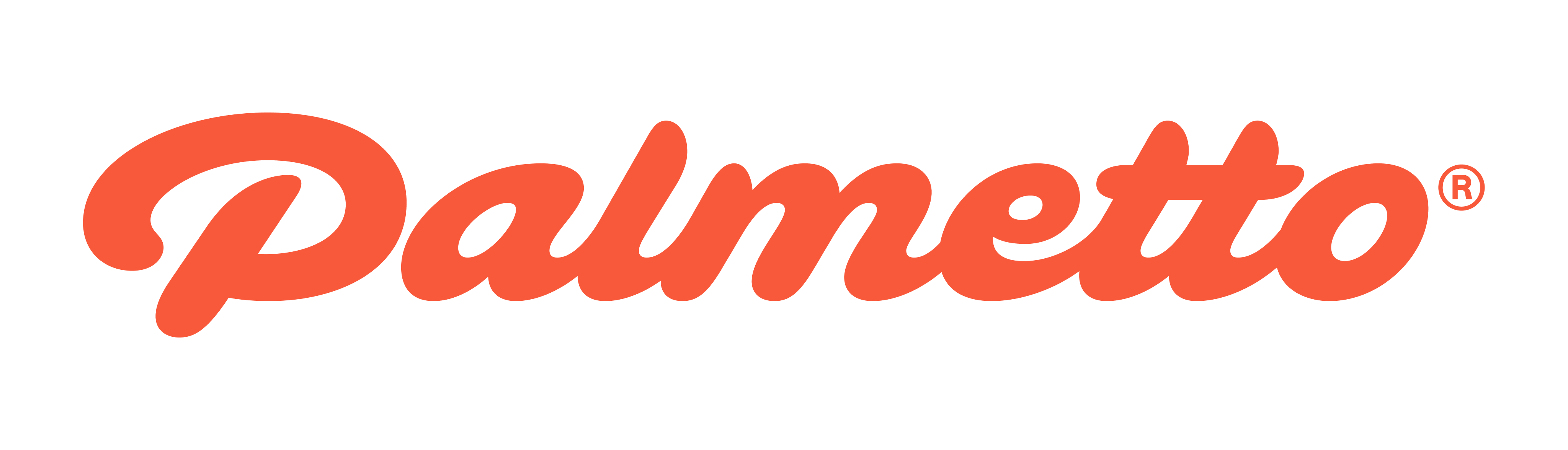 Palmetto Solar logo