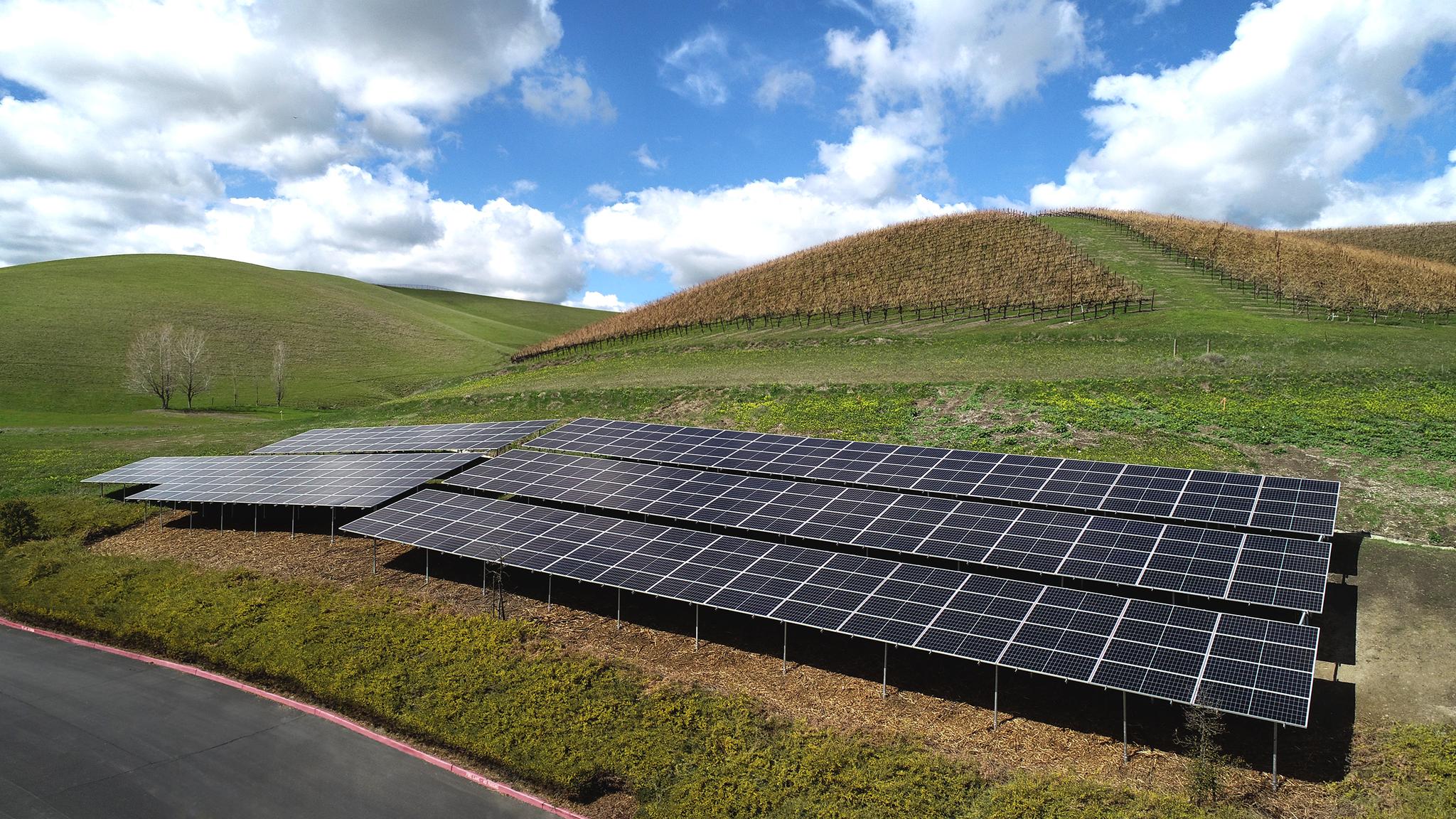 800+ Jinko Eagle Modules