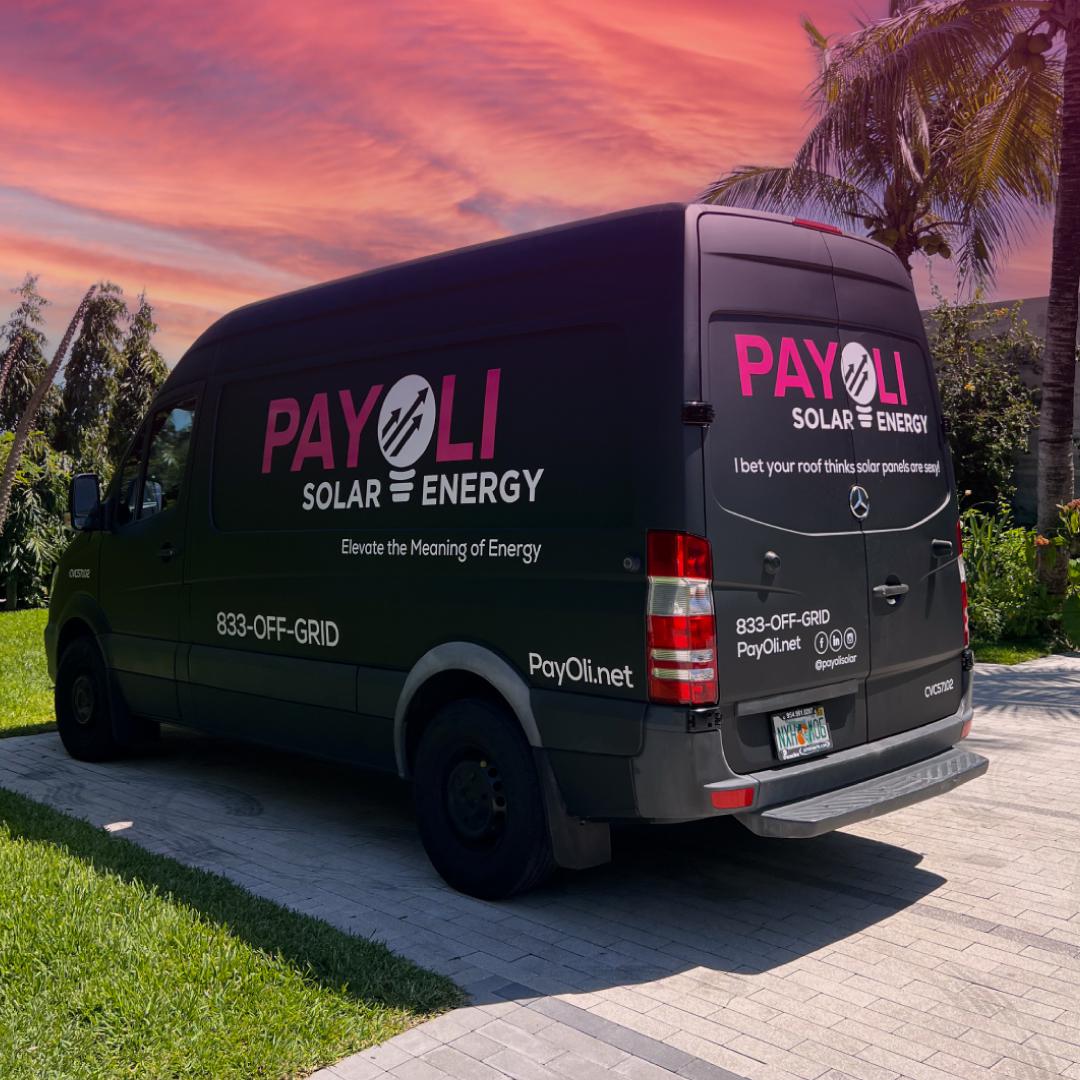 Hot Pink PayOli Vans