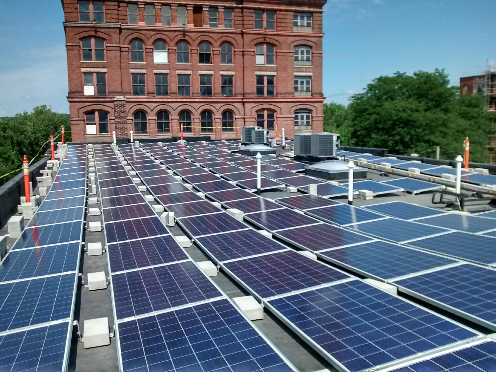 Capitol District Community Gardens