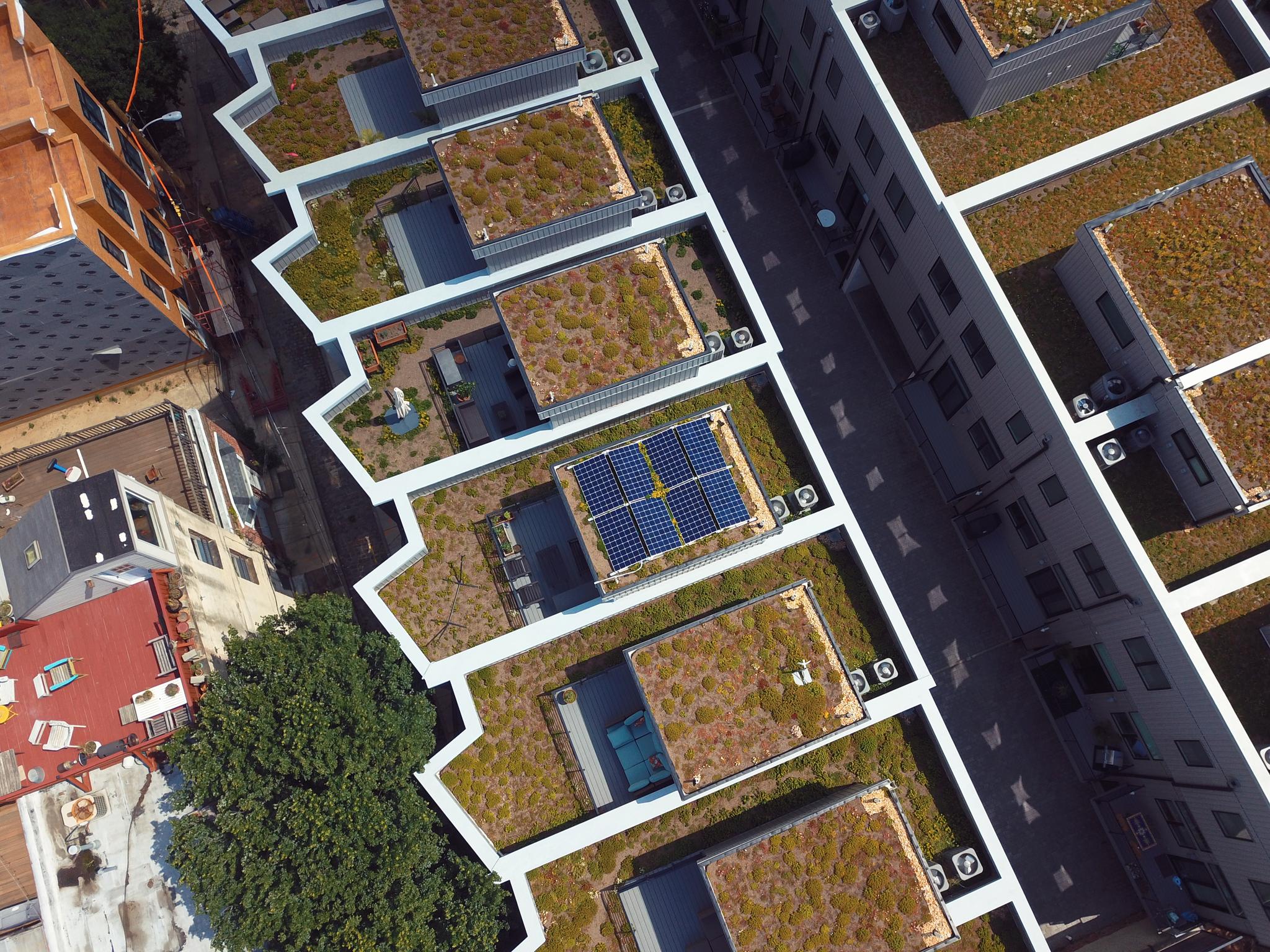 Green Roof Array