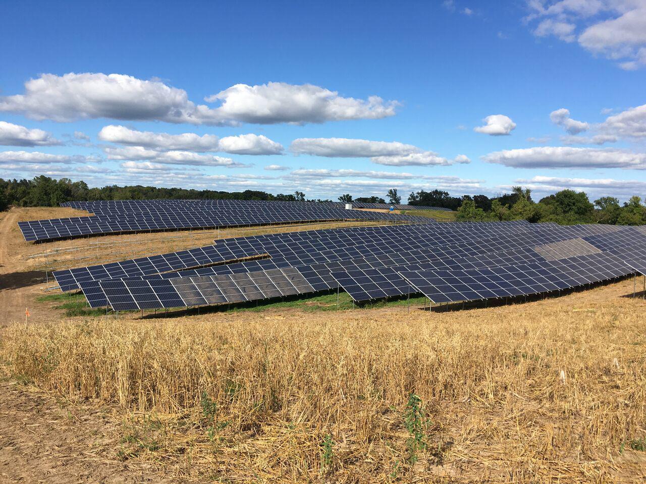 Commercial Solar Field