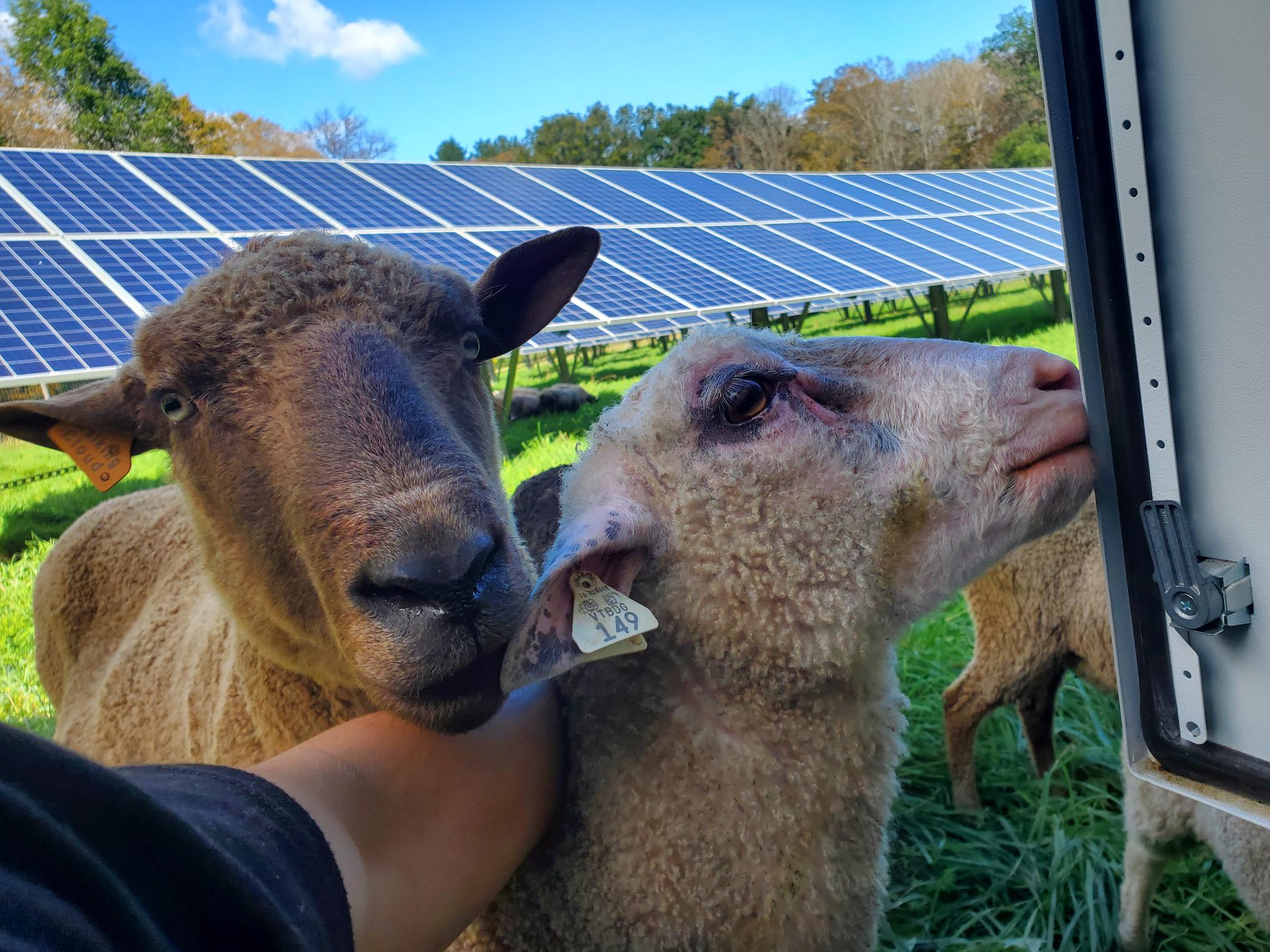 Farm Groundmount Solar Project