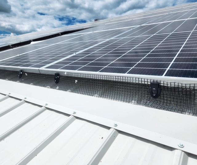 Critter Guard Installed on a Roof-Mounted Solar PV System