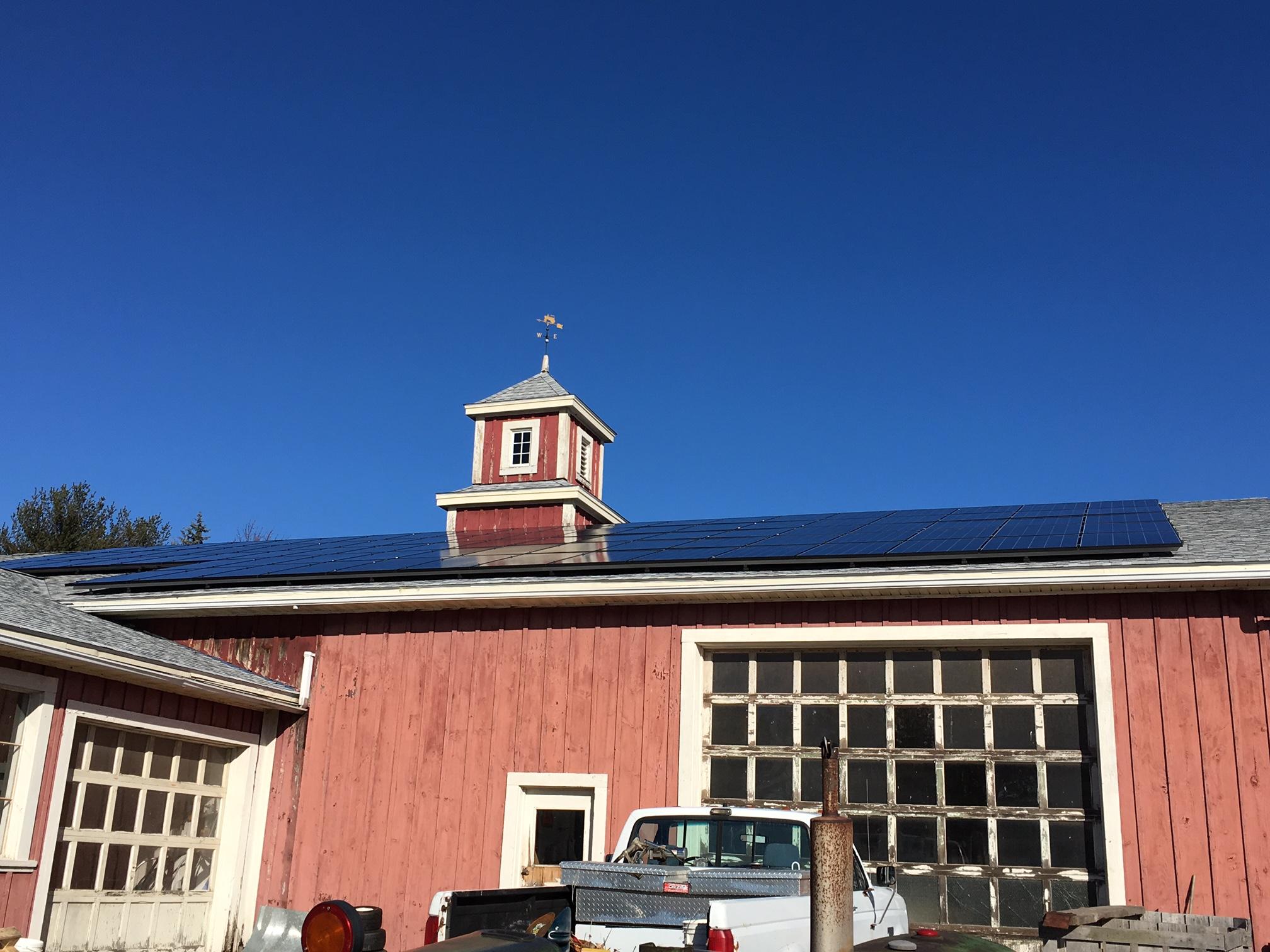 Cucurbit Farm- Acton