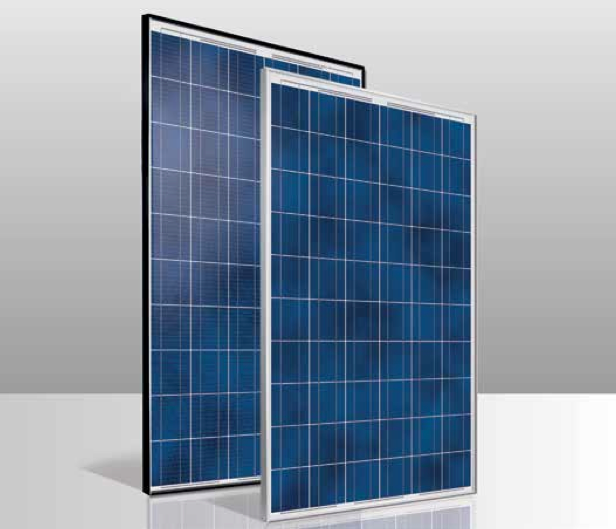 Conergy P-Series (PE 240-260W) Solar Panels
