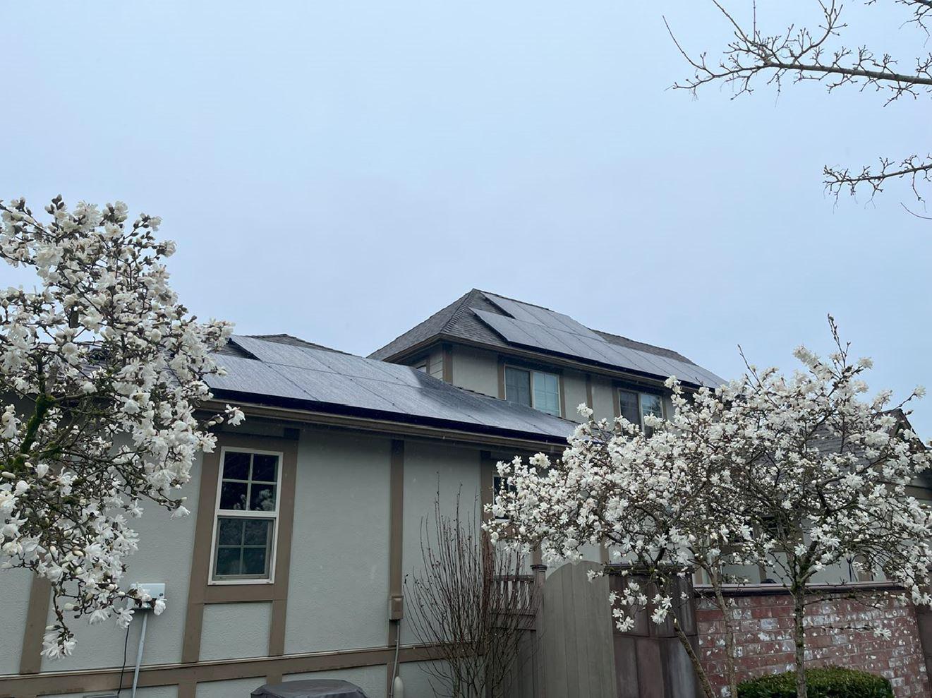 Spring Solar in Oregon