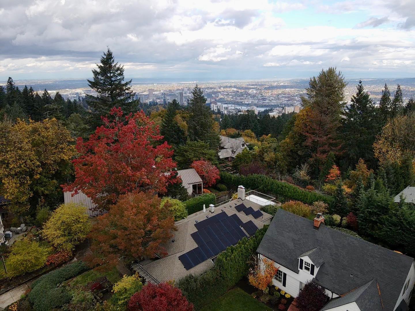 Fall colors in Portland