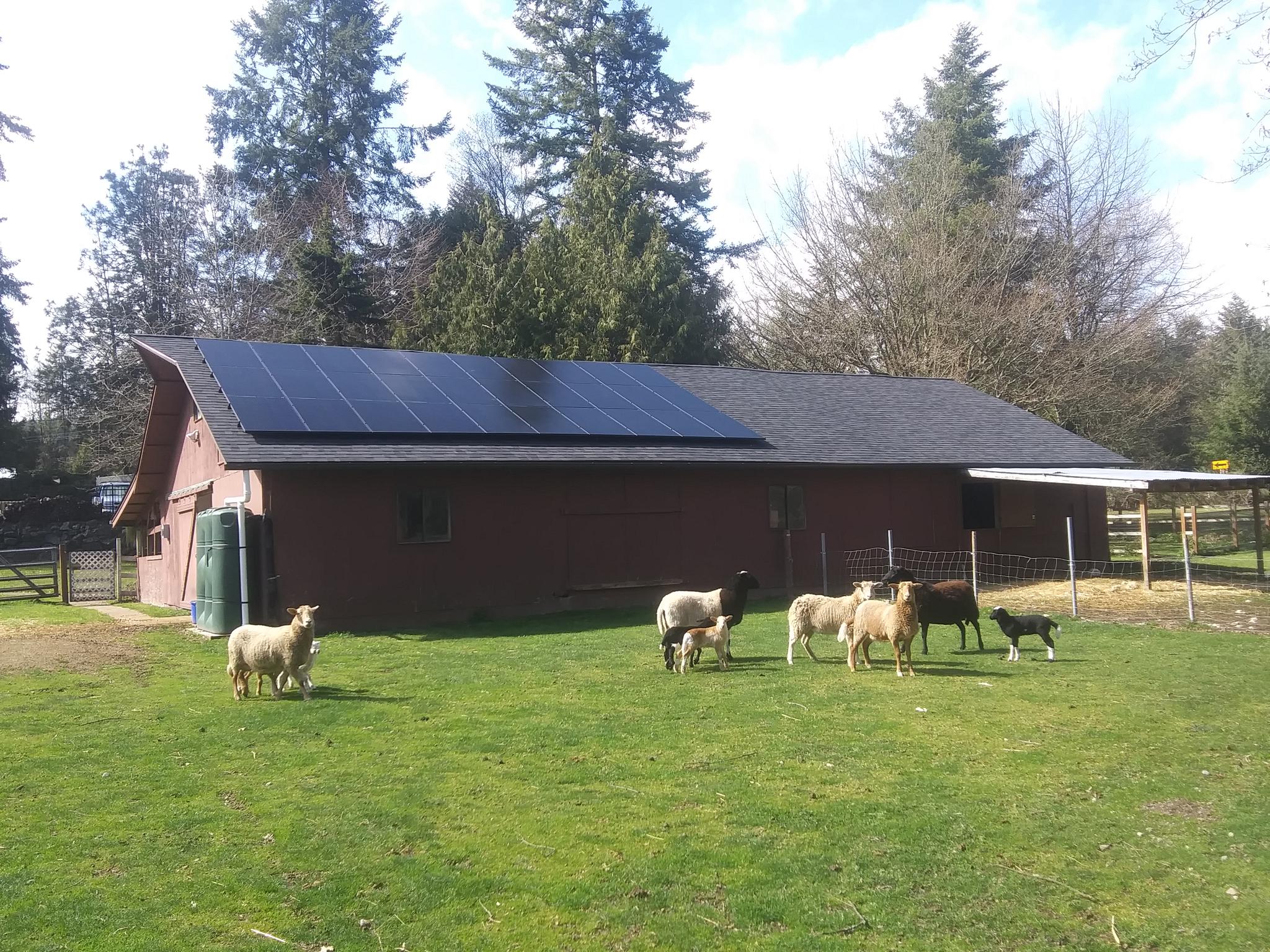 Solar on a Poulsbo Barn