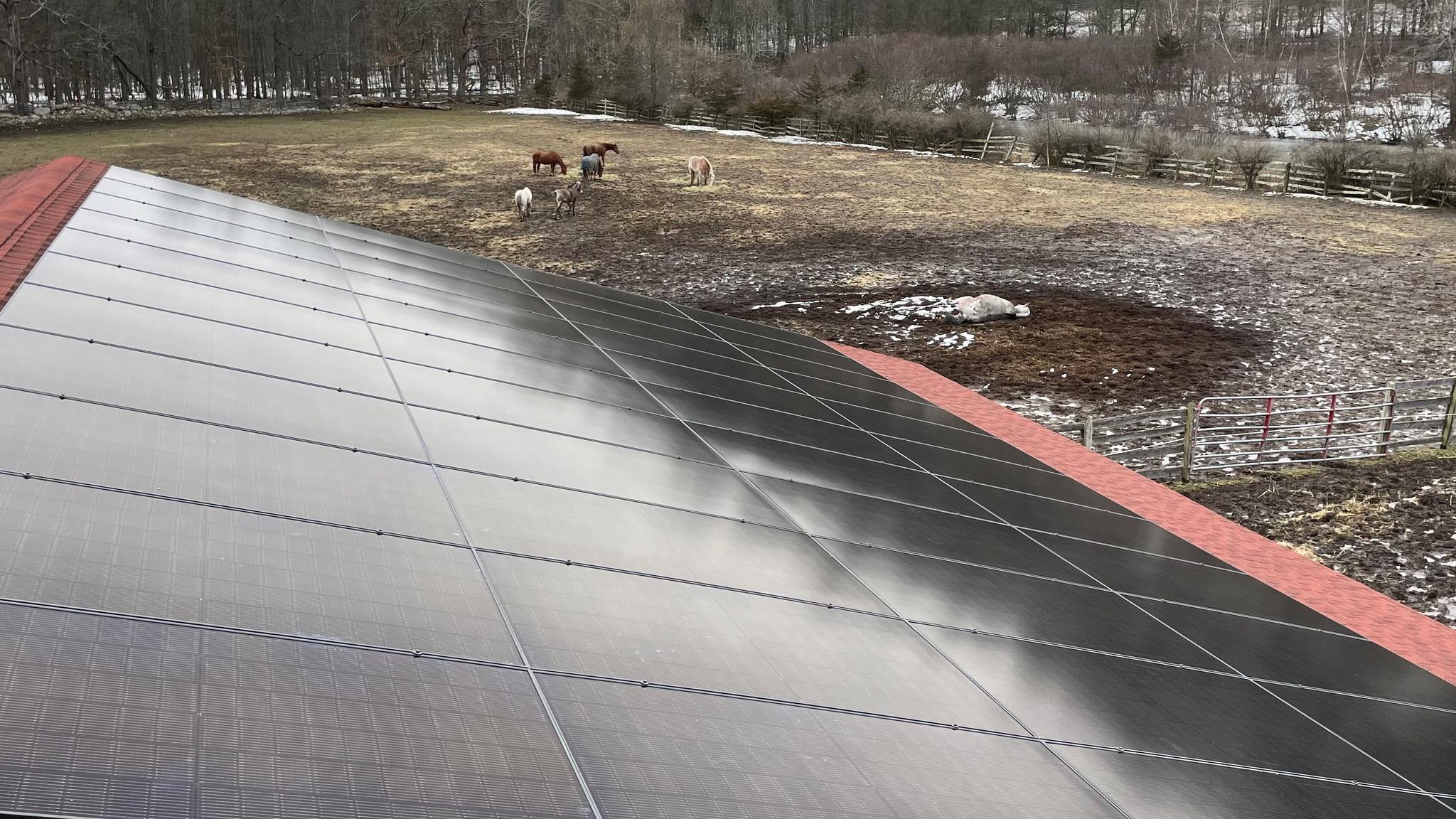 24.8kW Agricultural System, Pine Bush, NY