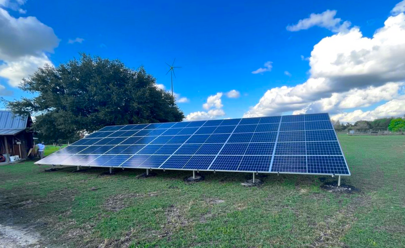 This lovely ground mount was in Brenham, TX